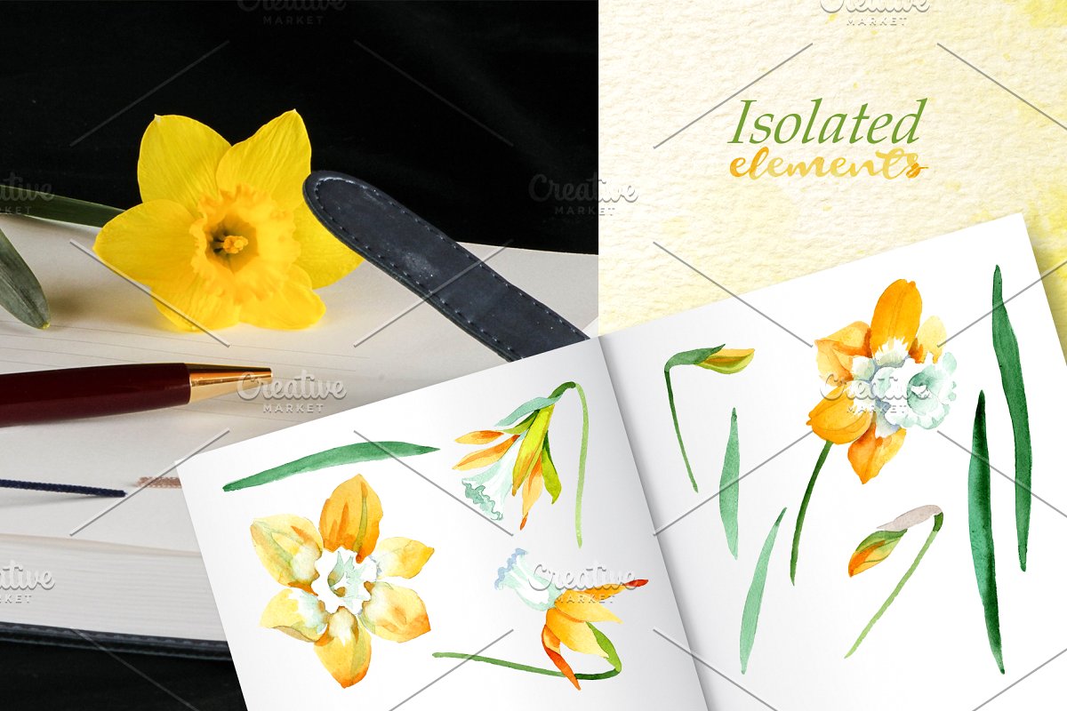 多用途黄色水仙花水彩剪贴画插图(5)