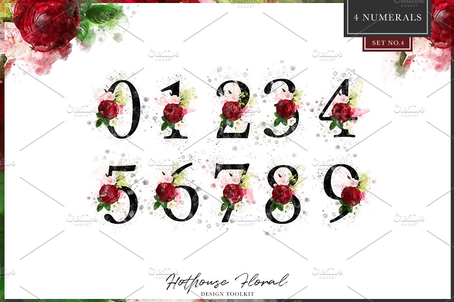 数码绘制温室花卉设计素材包(独立花卉元素&花式字母数字) Hothouse Floral Design ToolKit插图(16)