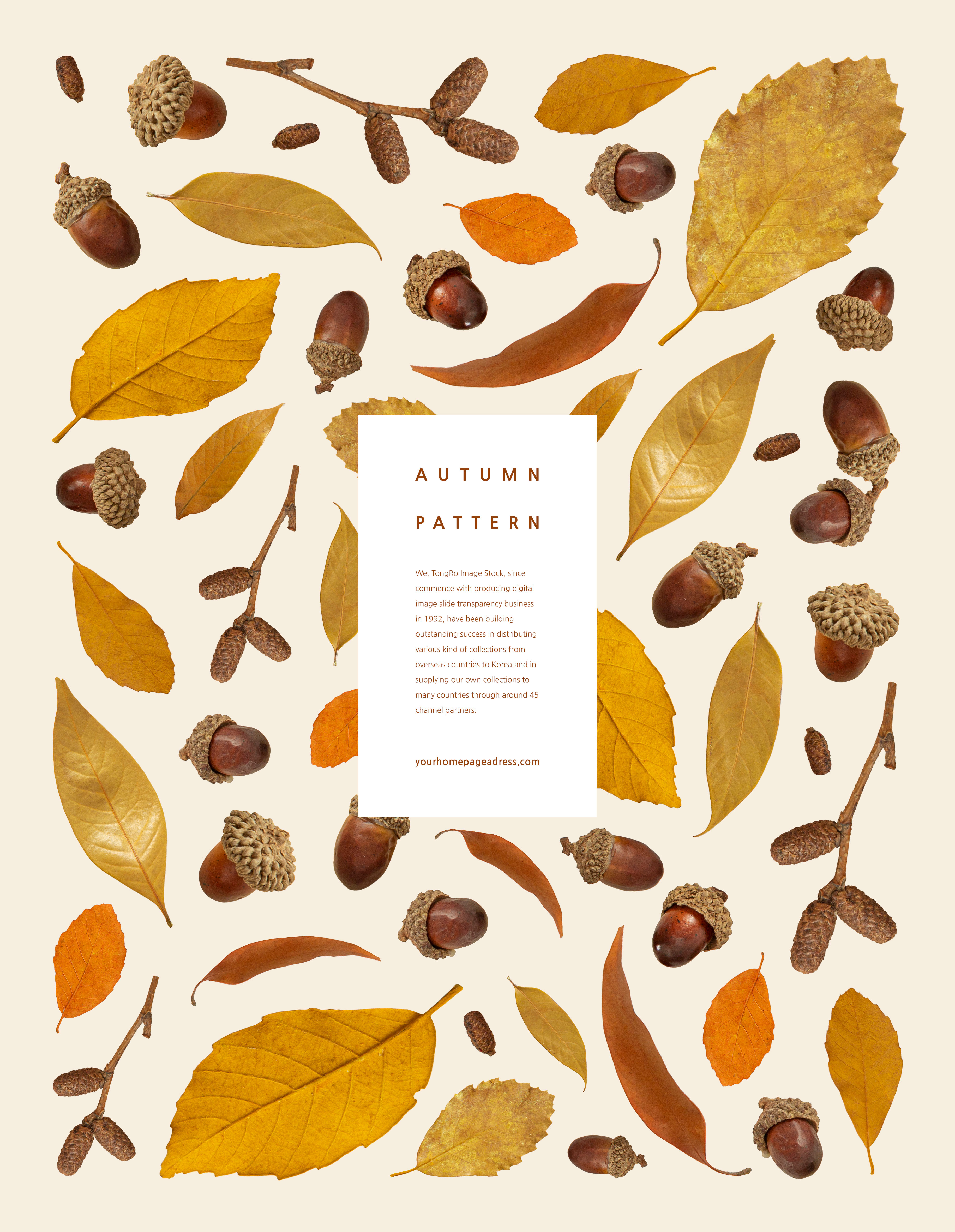 秋天主题叶子元素图案背景素材合集[PSD]插图(3)