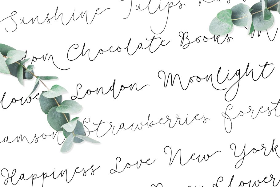 纤细体英文手写字体&100款水彩/金属纹理 Soft Whisperings Font and 100 Extras插图(2)