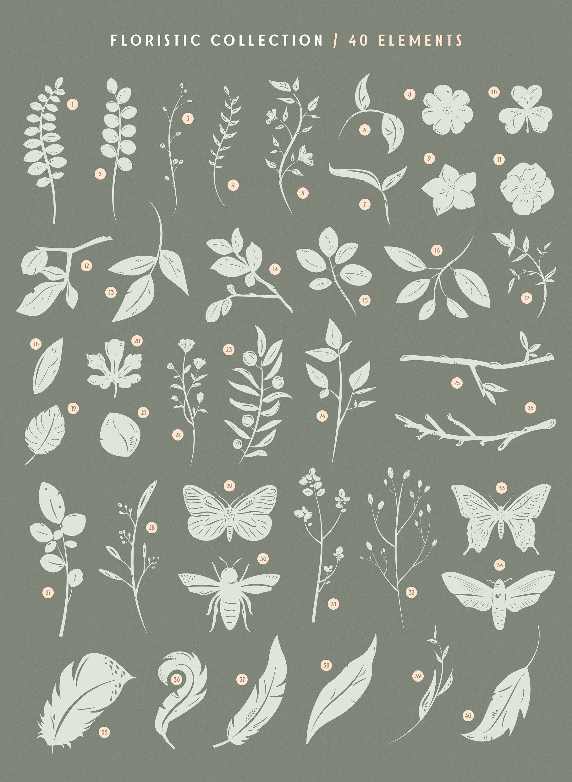 鸟类和花朵矢量图形套装 Birds & Blooms Graphics Kit插图(2)