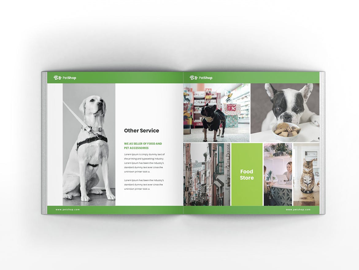 宠物店/宠物医院方形宣传册设计模板 Pet Shop Square Brochure Template插图(4)