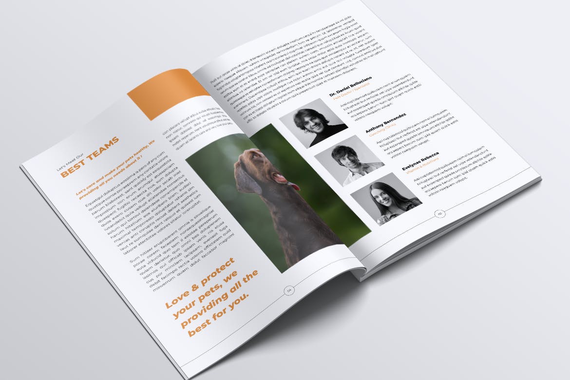 宠物店业务宣传手册设计模板 LOSI Pet Shop Business Brochure插图(2)