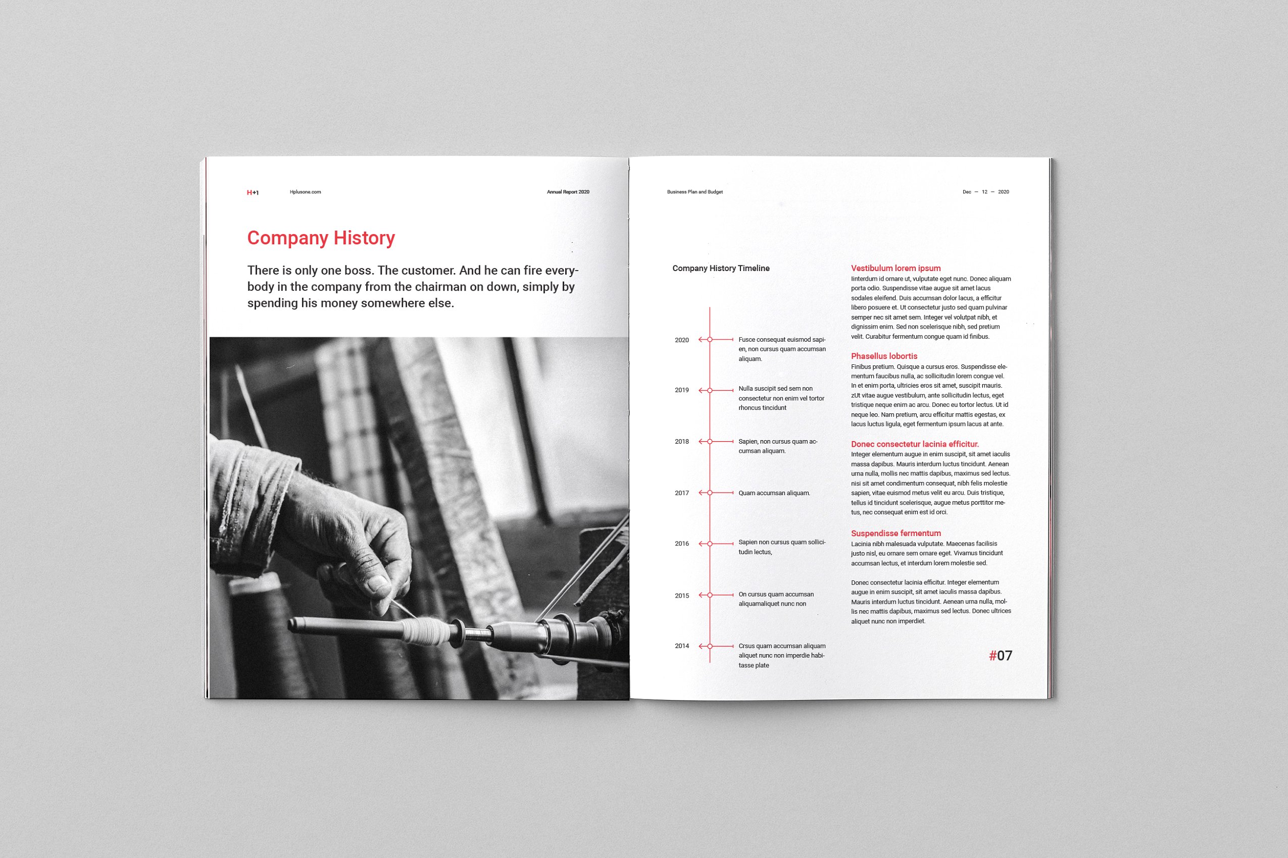 36页专业极简的年度总结杂志模板下载 Annual Reports [indd]插图(5)