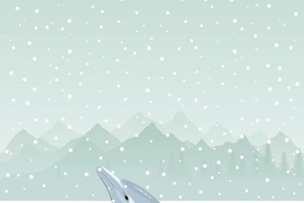 雪天冰洞里的海豚矢量图 Dolphin in an ice-hole