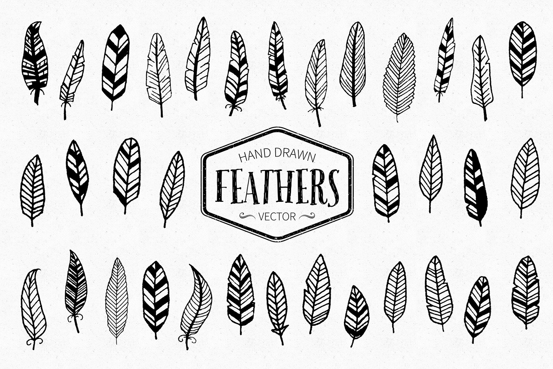 手绘树枝羽毛油墨剪贴插画 Inky Goods Vector Graphics插图(6)