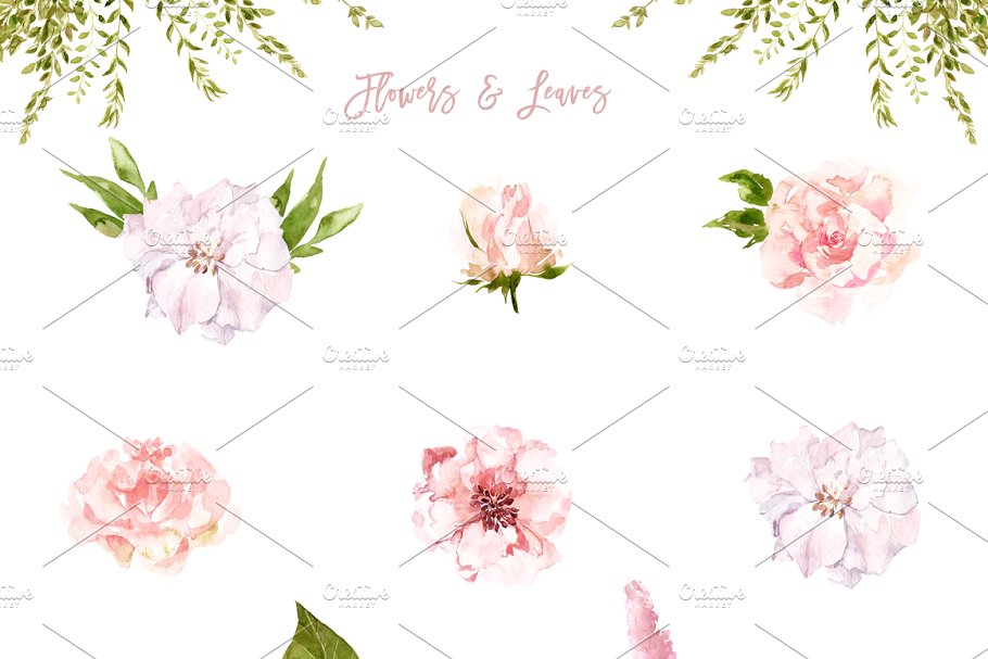 郁郁葱葱水彩花卉插画 Lush Greenery & Delicate Flowers插图(5)