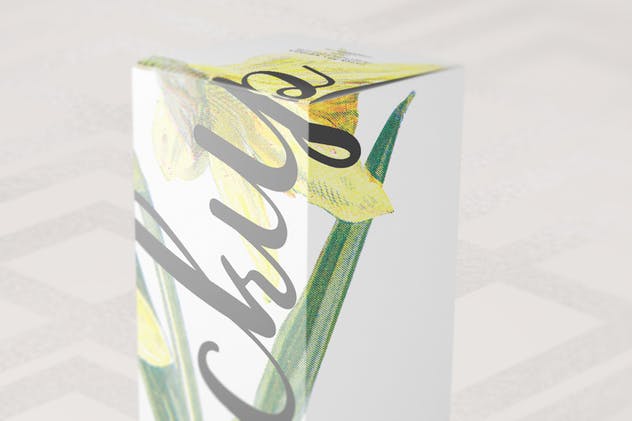 葡萄酒/饮料瓶包装纸盒样机9 Paper Box Mockup 09插图(6)