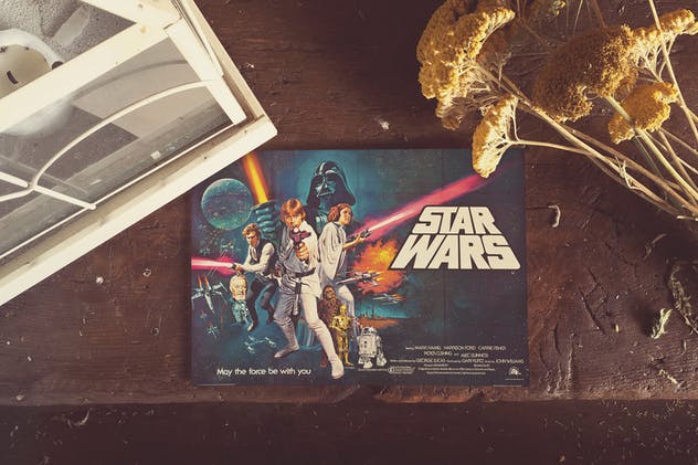 花卉装饰场景海报设计样机模板 Vintage Flowers Duo插图(1)