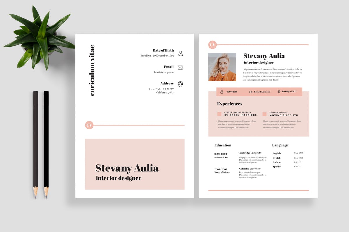 极简主义个人应聘求职简历模板V12 Clean Resume / CV 12插图