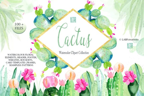 仙人掌水彩剪贴画合集 Cactus watercolr clipart collection