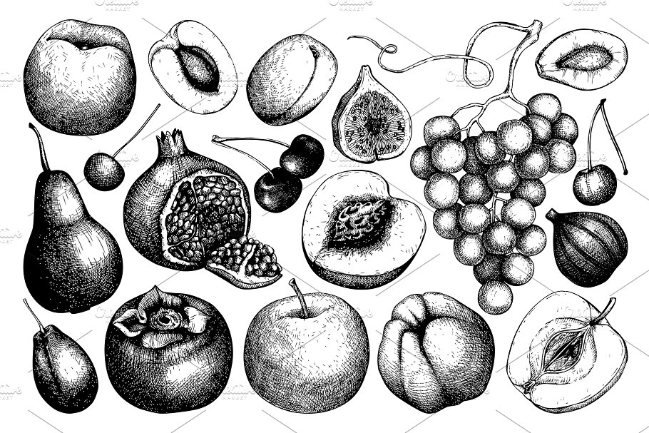 墨水手绘水果素材合集 Ink hand drawn fruit collection插图(1)
