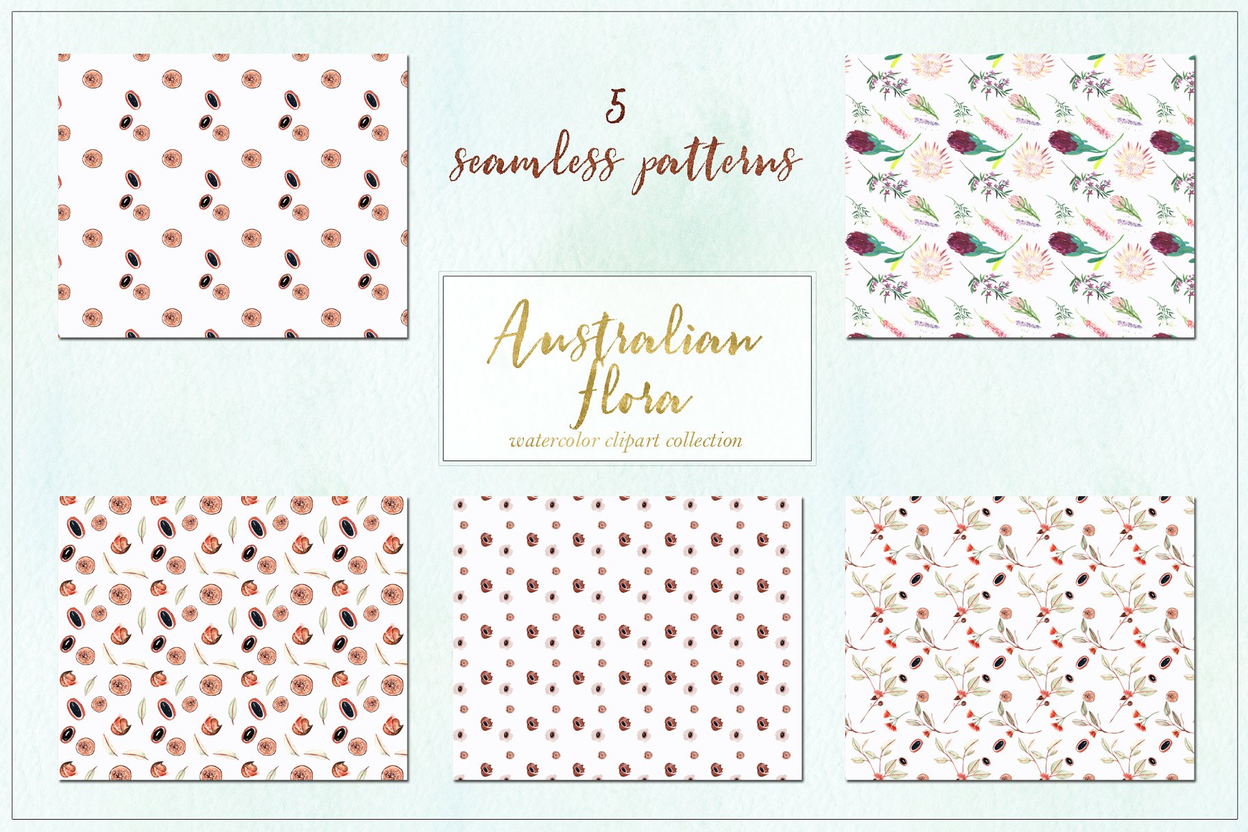 澳大利亚植物水彩剪贴画 Australian Flora Premium watercolor插图(9)
