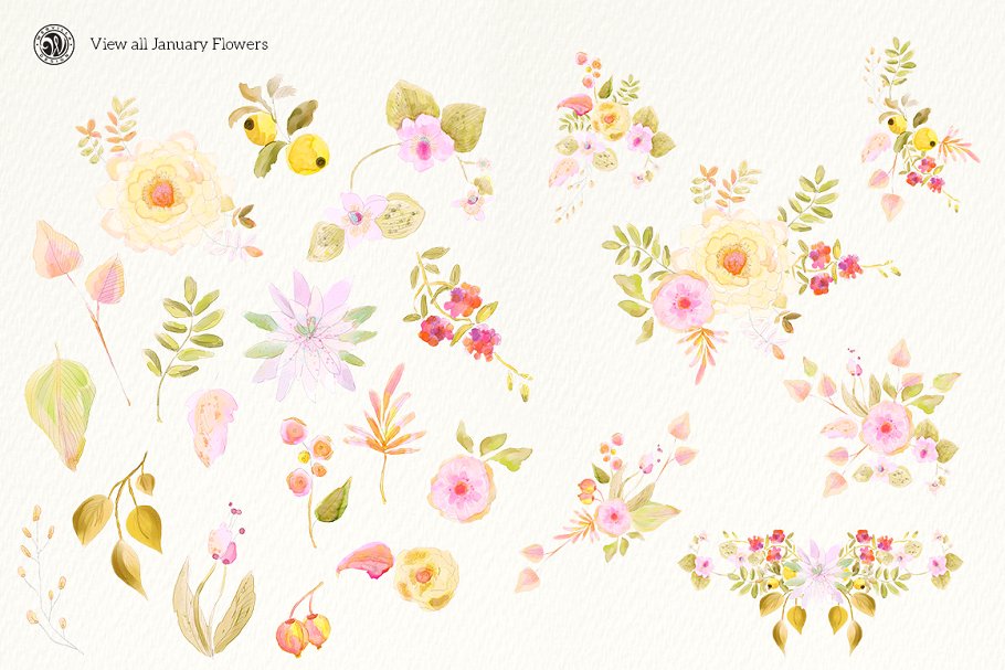 手绘水彩花卉剪贴画 January Flowers插图(3)