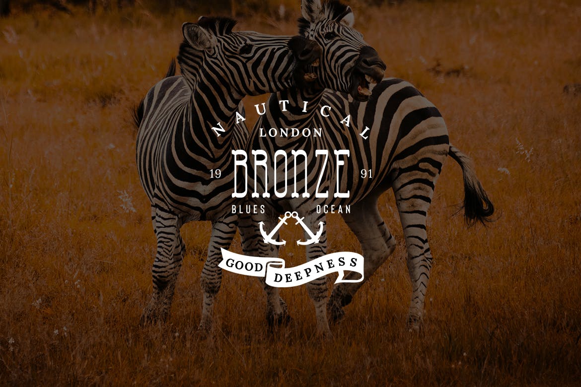 欧美复古设计风格品牌素材库精选LOGO商标模板v27 Vintage Logo & Badge Vol. 27插图(3)