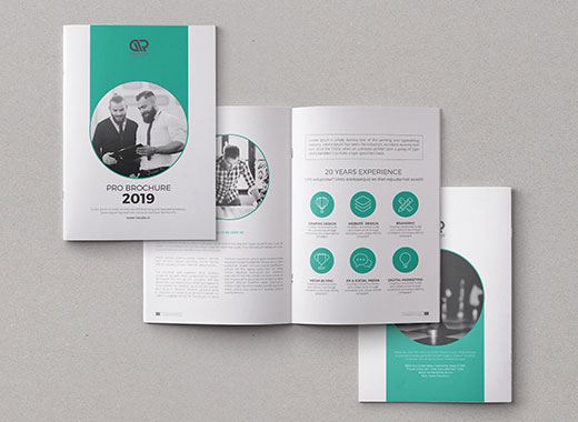 20页专业极简的企业画册模板下载[indd]