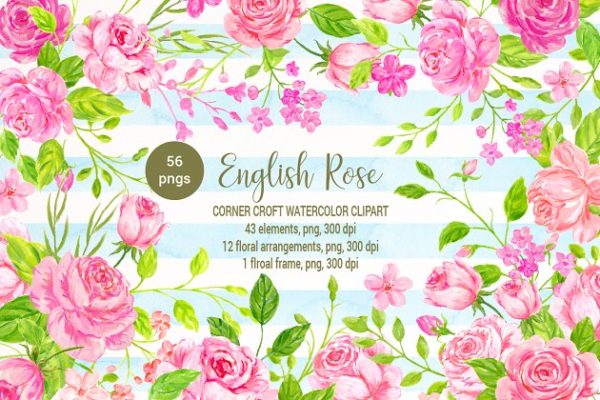 美丽浪漫的英国传统玫瑰剪贴画合集 Watercolor English Rose Clipart