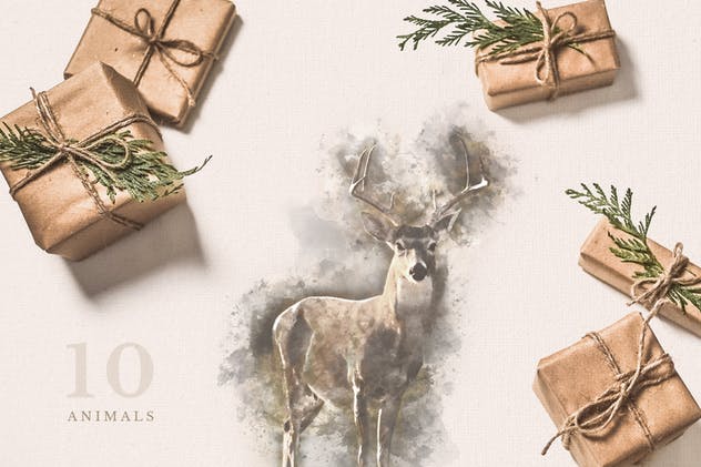 质朴的动物水彩手绘插图Vol.1 Rustic Watercolor Animals – Volume 1插图(1)