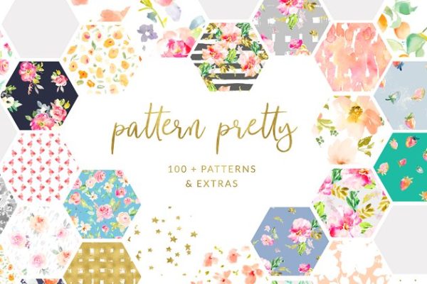 花枝招展芬芳扑鼻系列水彩花卉图案纹理合集 Pattern Pretty Floral Patterns