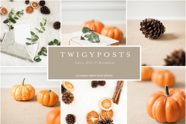 秋季南瓜场景样机模板 Fall Stock Photo Bundle