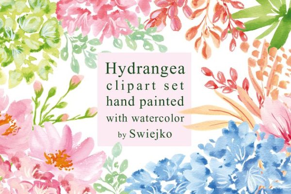 八仙花绣球花剪贴画 Hydrangea clipart set