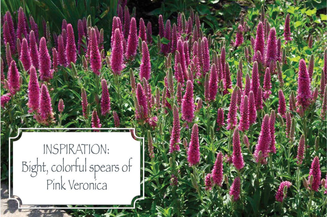 粉红维罗妮卡水彩花卉剪贴画套装 Pink Veronica Watercolor Clip Art Bundle插图(7)