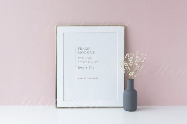 极简主义银色画框相框样机模板 8×10 golden frame mock up – pink bgd
