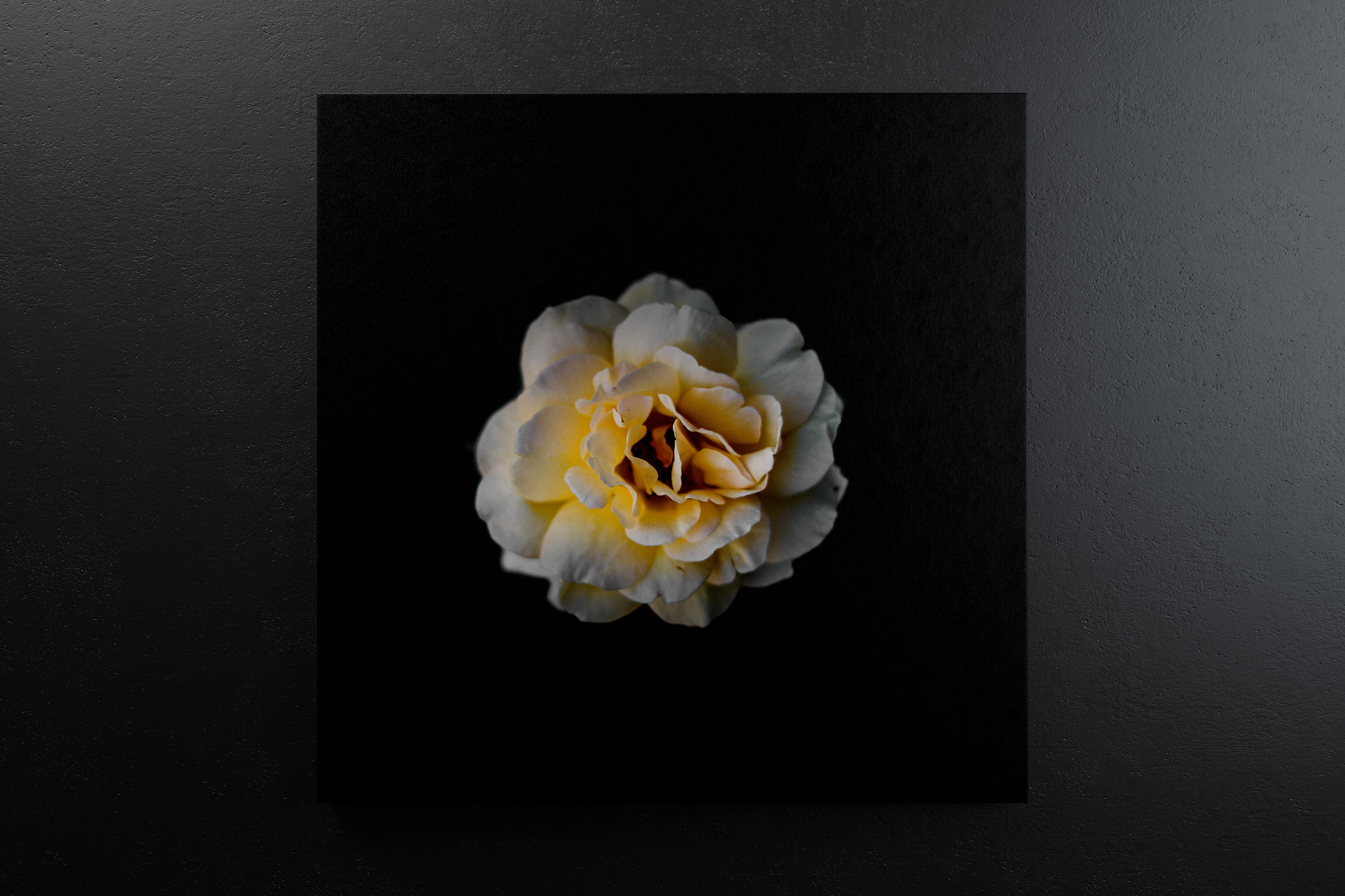 挂墙方形画布画框正视图样机素材 Square Canvas Mockup Hanging on Wall, Front View插图(3)