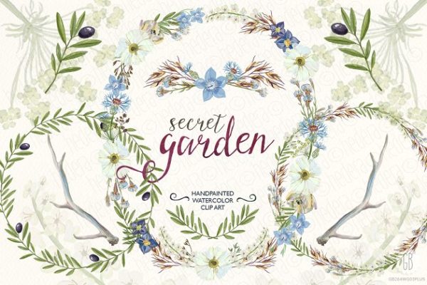 橄榄枝&amp;野花花环水彩插画 Watercolor wildflowers wreaths olive