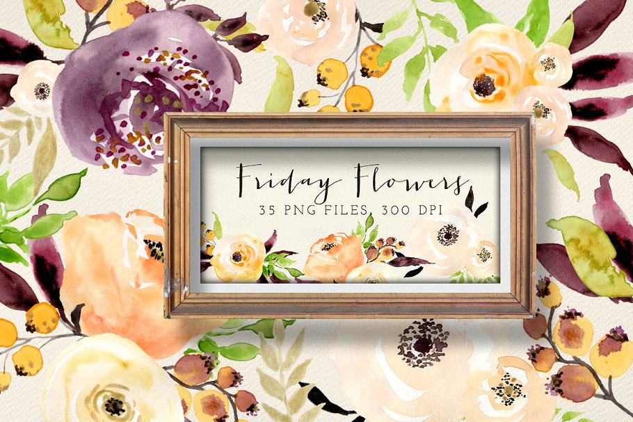 35个手绘花卉水彩图形元素 Friday Flowers插图
