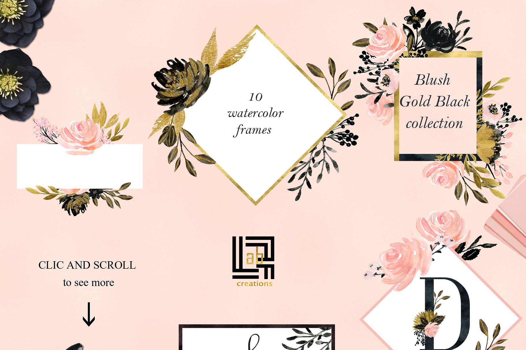 胭脂黑金水彩花卉剪贴画 Blush Gold Black. Floral graphics.插图(8)