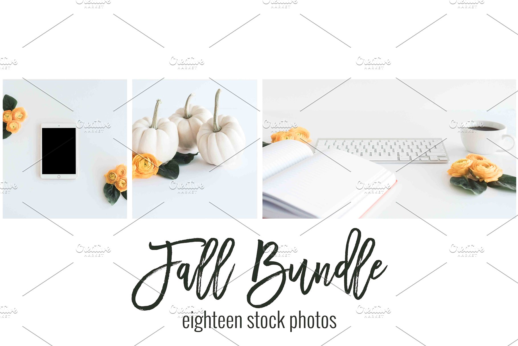 现代简约风办公场景样机 Fall Stock Photo Bundle插图(1)