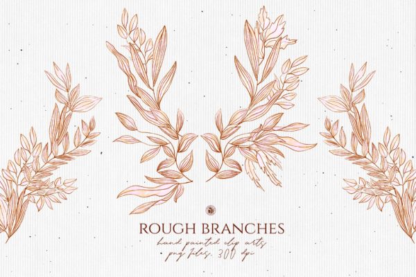 高清手绘橄榄枝叶PNG素材 Rough Branches