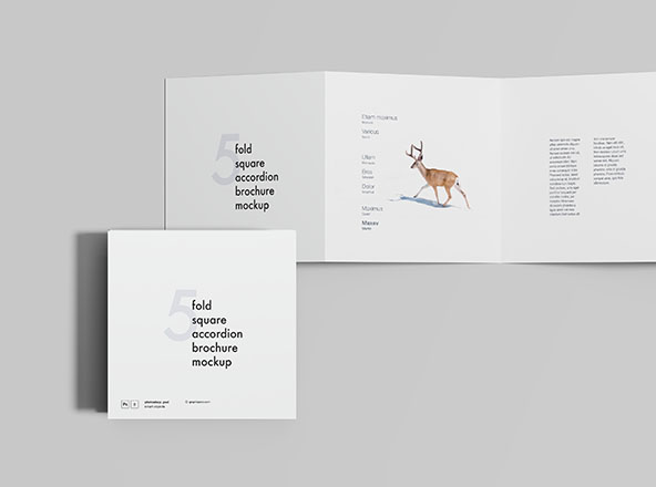 5折方形手风琴折叠式宣传册设计效果图样机 5 Fold Square Accordion Brochure Mockup