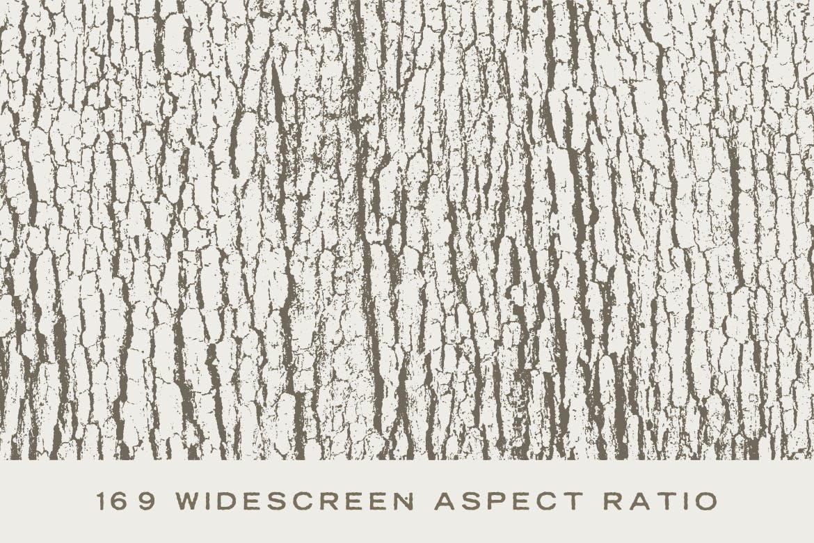 5款逼真树皮纹理肌理矢量背景素材 Tree Bark Textures插图(1)