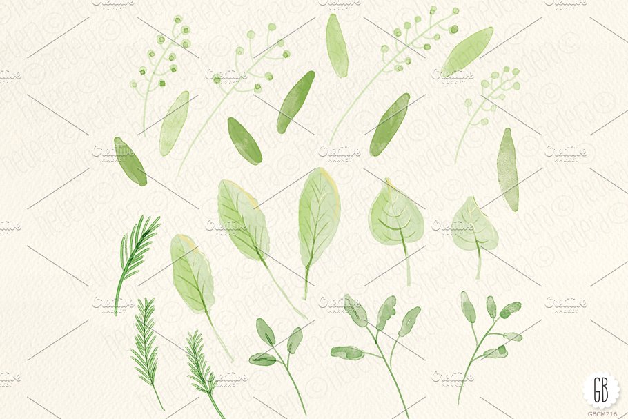 花卉，蔷薇，毛茛等水彩元素 Watercolor flowers, rose, ranunculus插图(2)