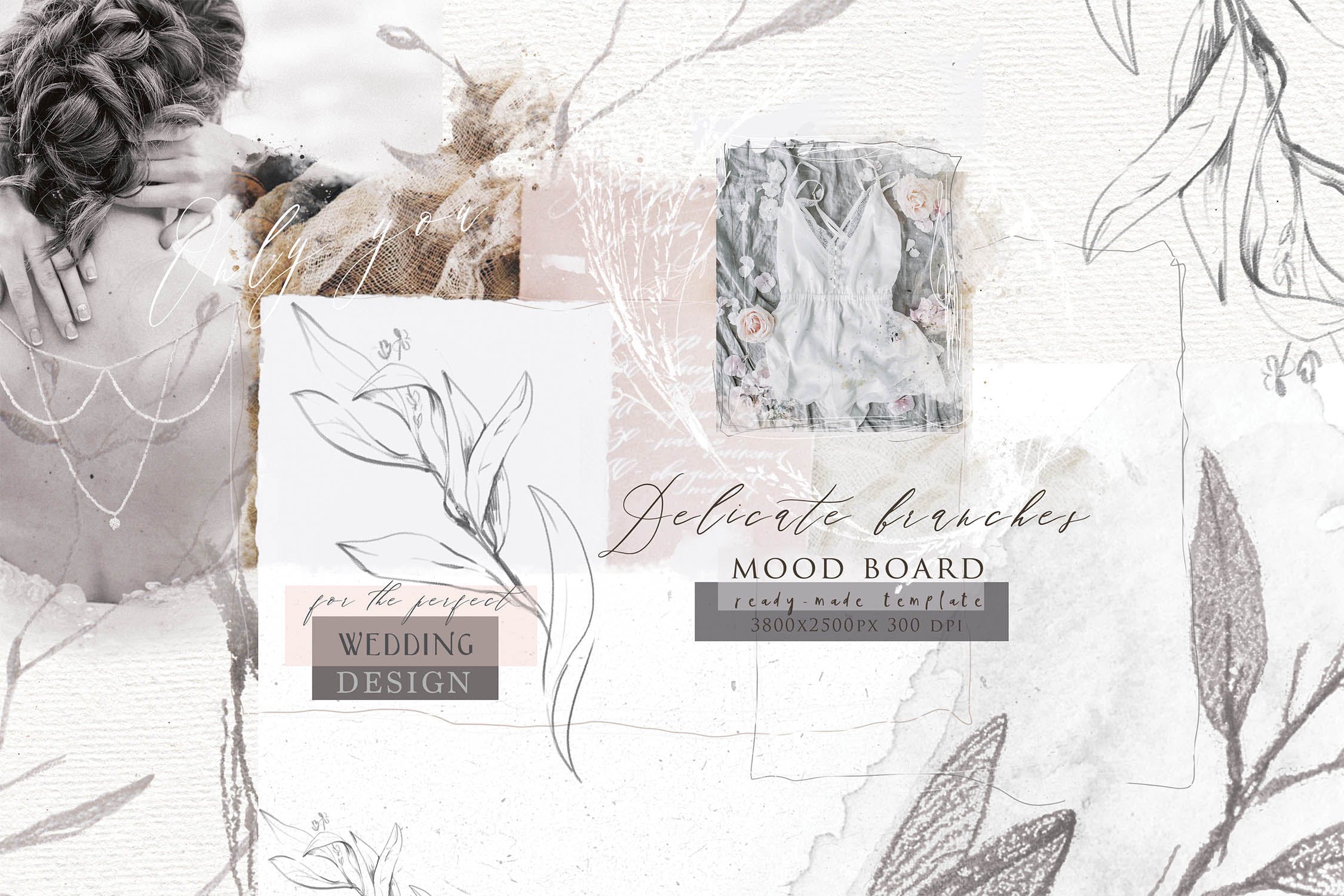 优雅风格植物Logo标志元素设计素材v3 BOTANICAL LOGO ELEMENTS vol.3插图(8)