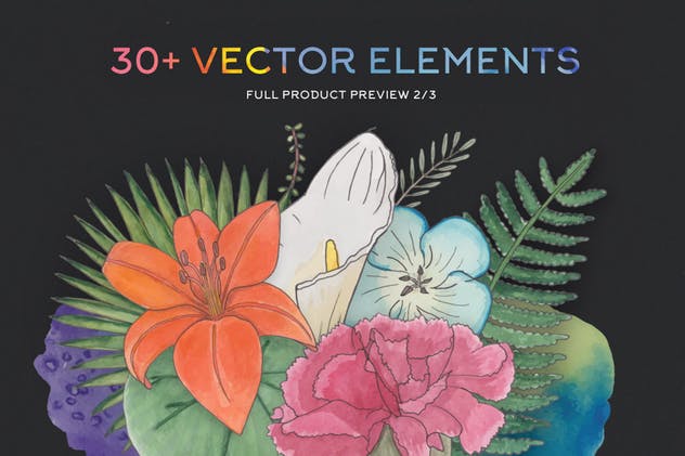 水彩艺术花卉矢量插画合集 FlorArt Watercolor Kit插图(3)