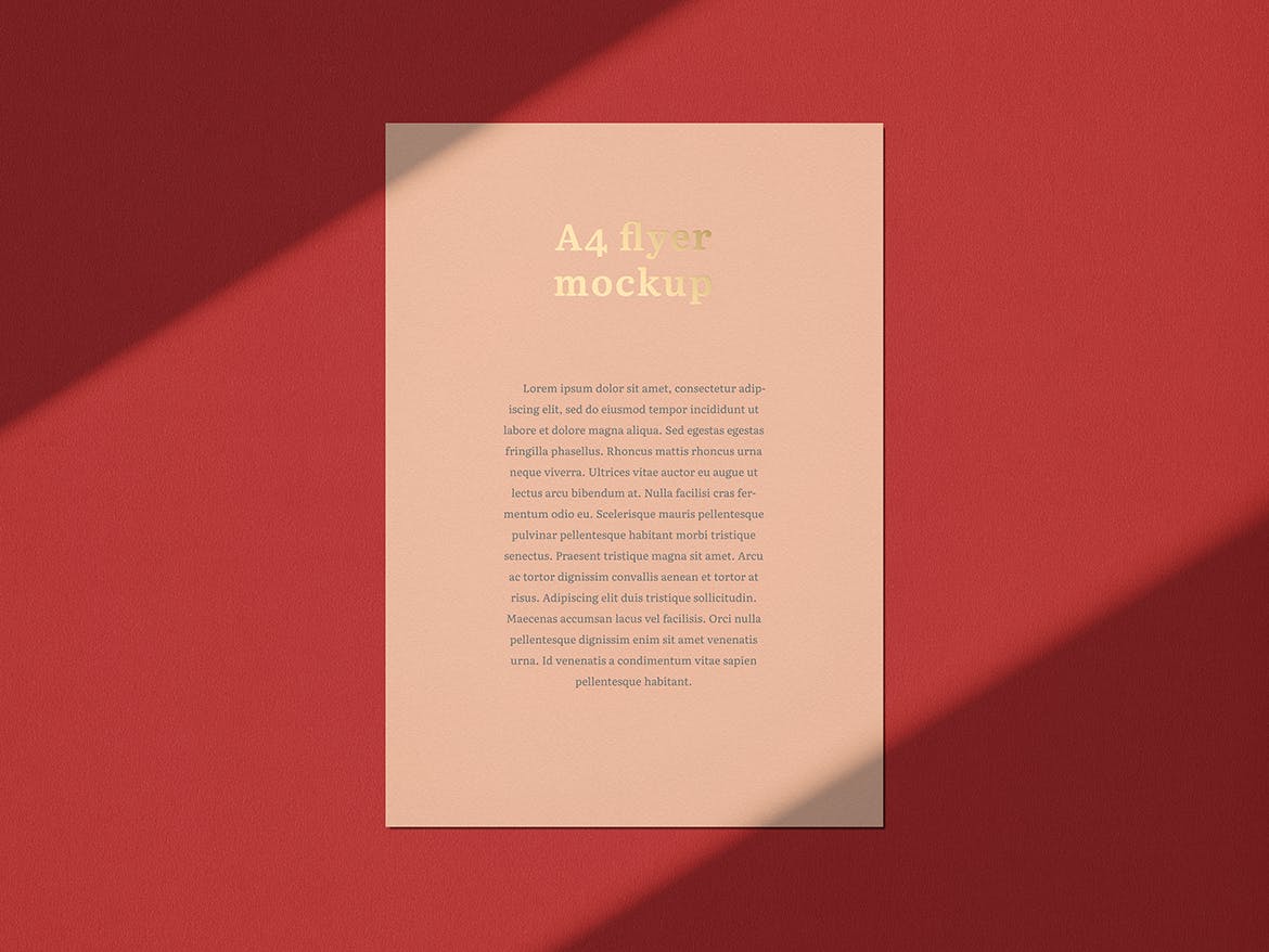 品牌VI设计系统办公用品印刷品套件样机 Stationary Mockup — Set 1插图(7)