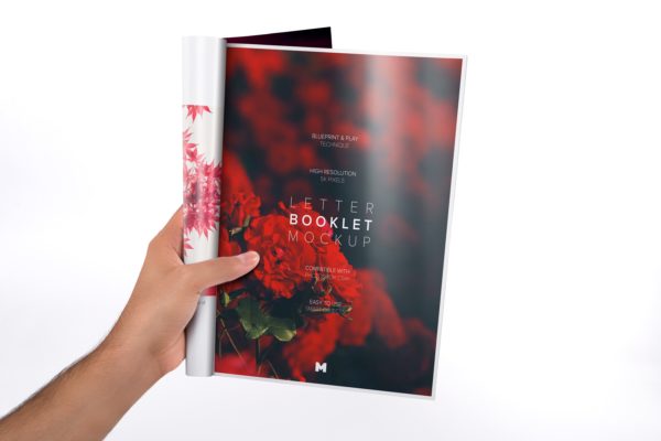 信纸规格小册子单页设计图样机 Letter Booklet Single Page Mockup