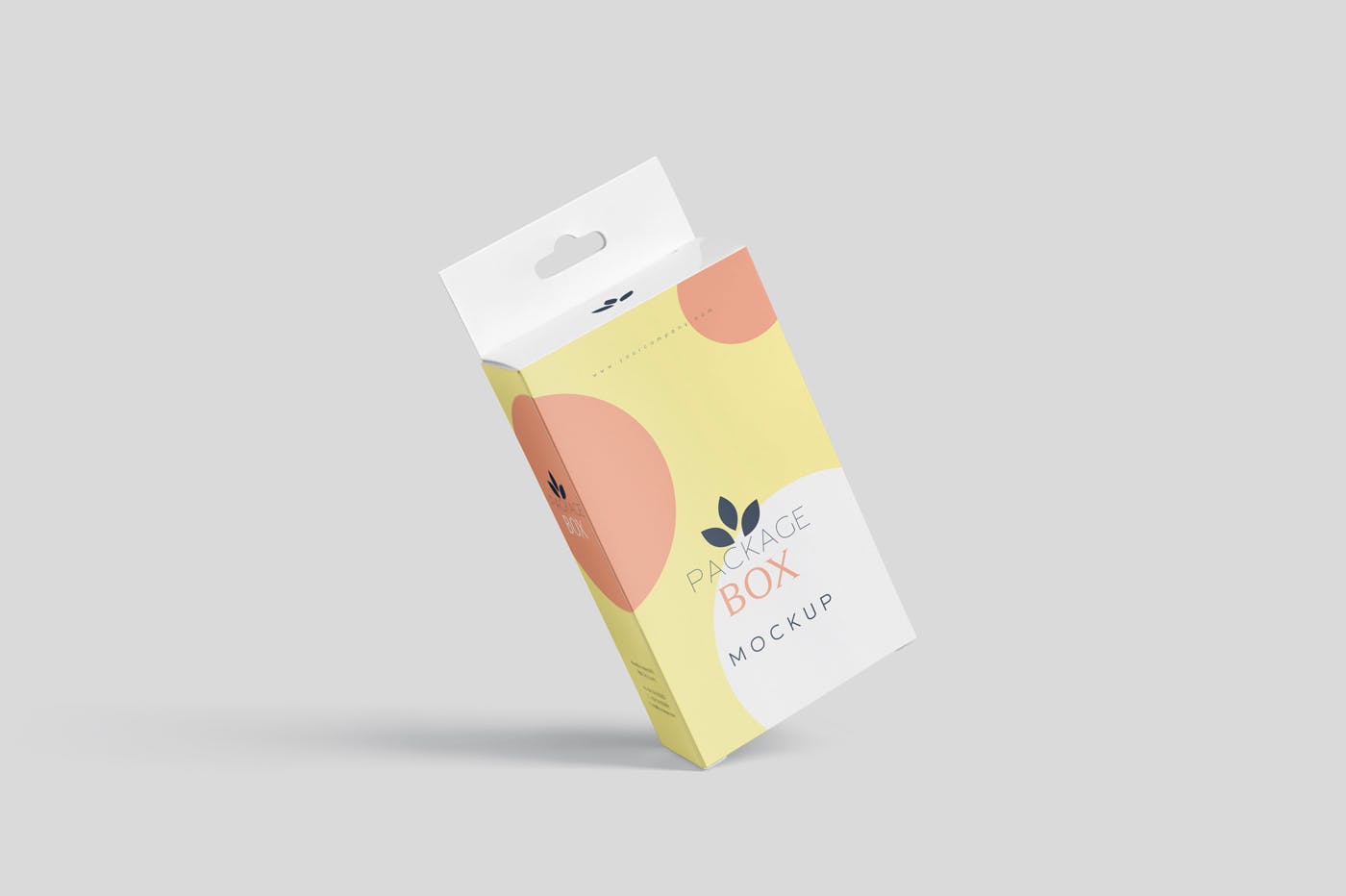 带挂耳设计扁平矩形产品包装盒效果图素材库精选 Package Box Mockup Set- Flat Rectangle with Hanger插图(6)