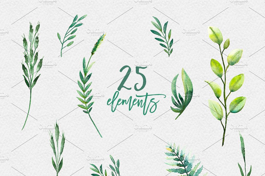 40个绿色植物水彩插画 Watercolor Greenery插图(1)