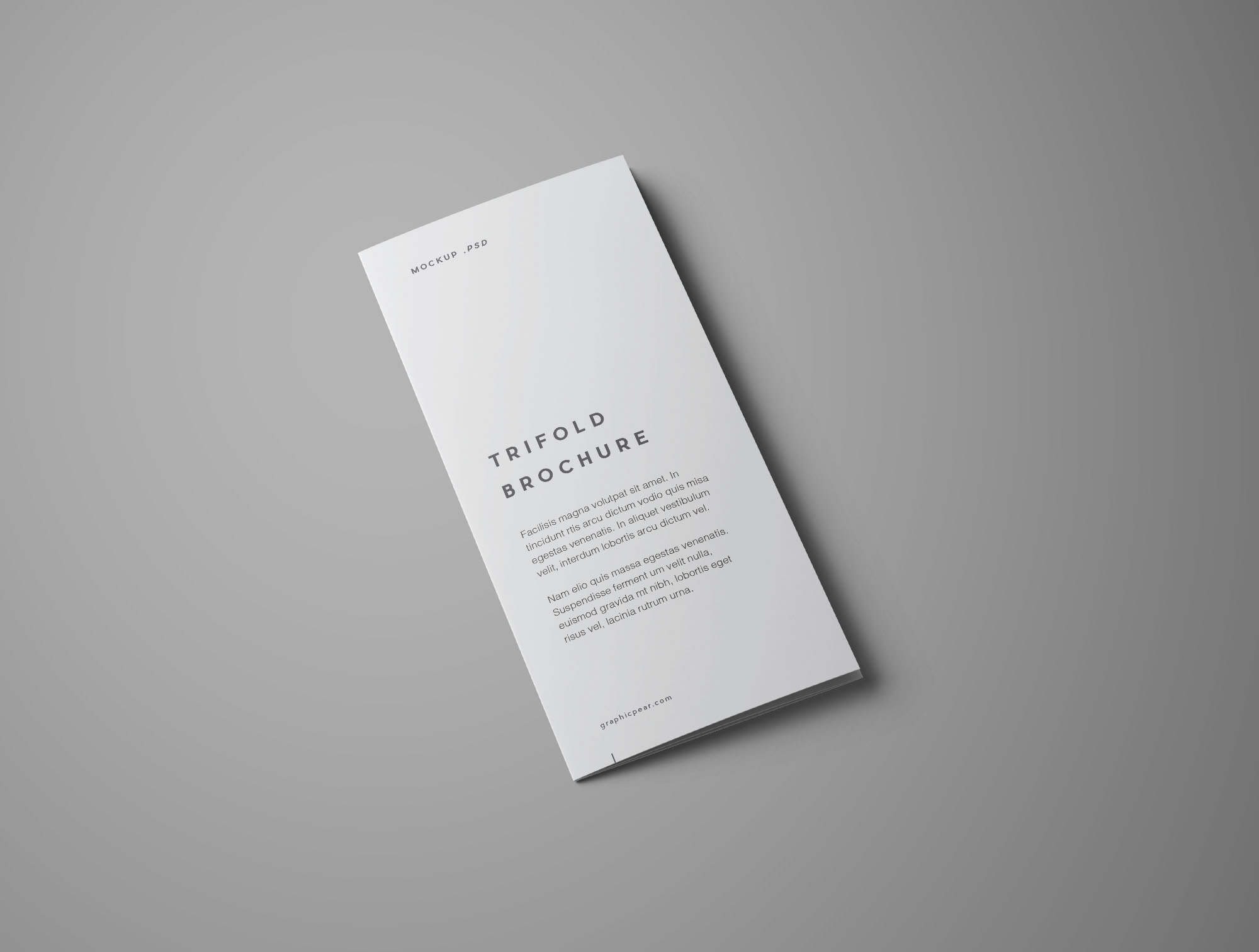 多角度三折页宣传单设计效果图样机 Free Advanced Trifold Brochure Mockup – 7 Angles插图(3)