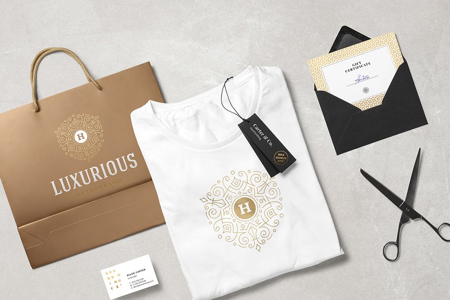 50款奢侈品品牌Logo设计模板 50 ornaments logos & monograms插图(9)