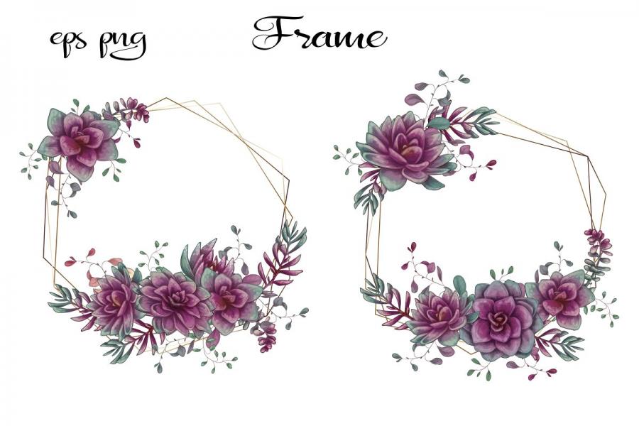 紫色的仙人掌和肉质植物矢量剪贴画插图(4)