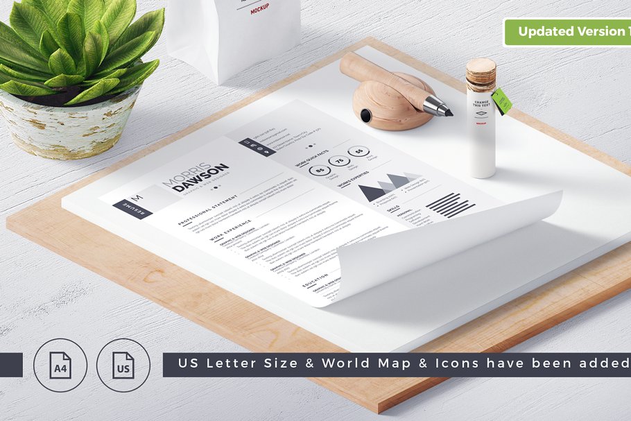 高端创意信息图表简历模板 Clean Infographic Resume/CV插图