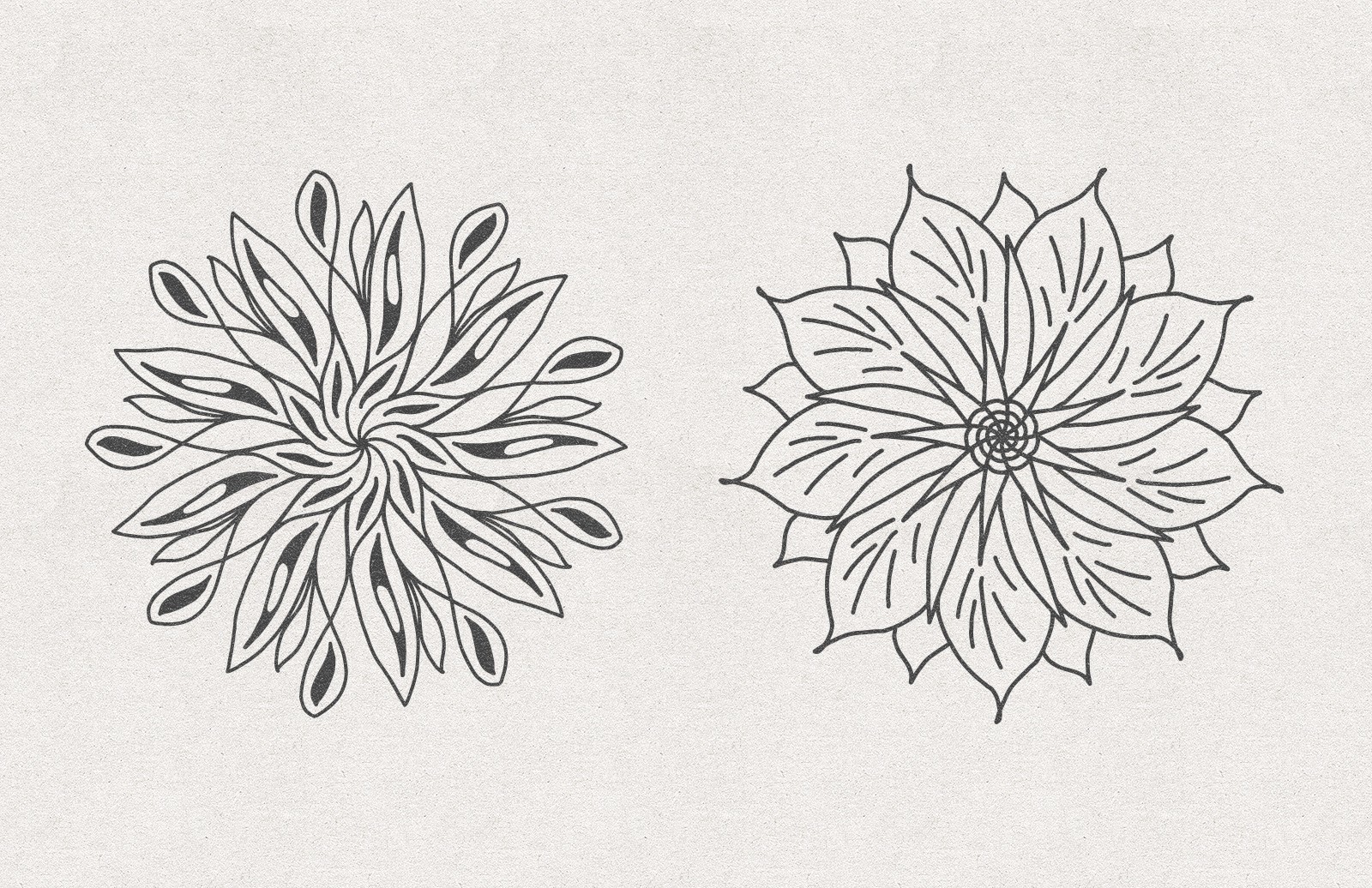 矢量花卉素材 Vector Floral Radial Illustrations [AI, SVG]插图
