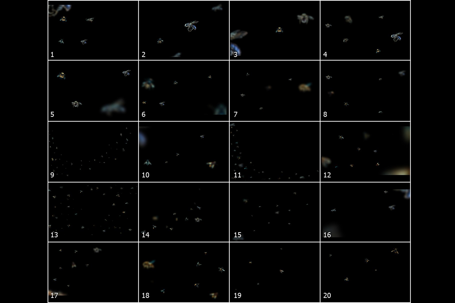 5K高分辨率逼真蜜蜂照片叠层背景素材 5K Bees Overlays – Dark Version插图(3)
