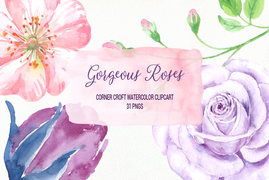 31个独立华丽水彩玫瑰剪贴画 Watercolor Gorgeous Roses插图(3)