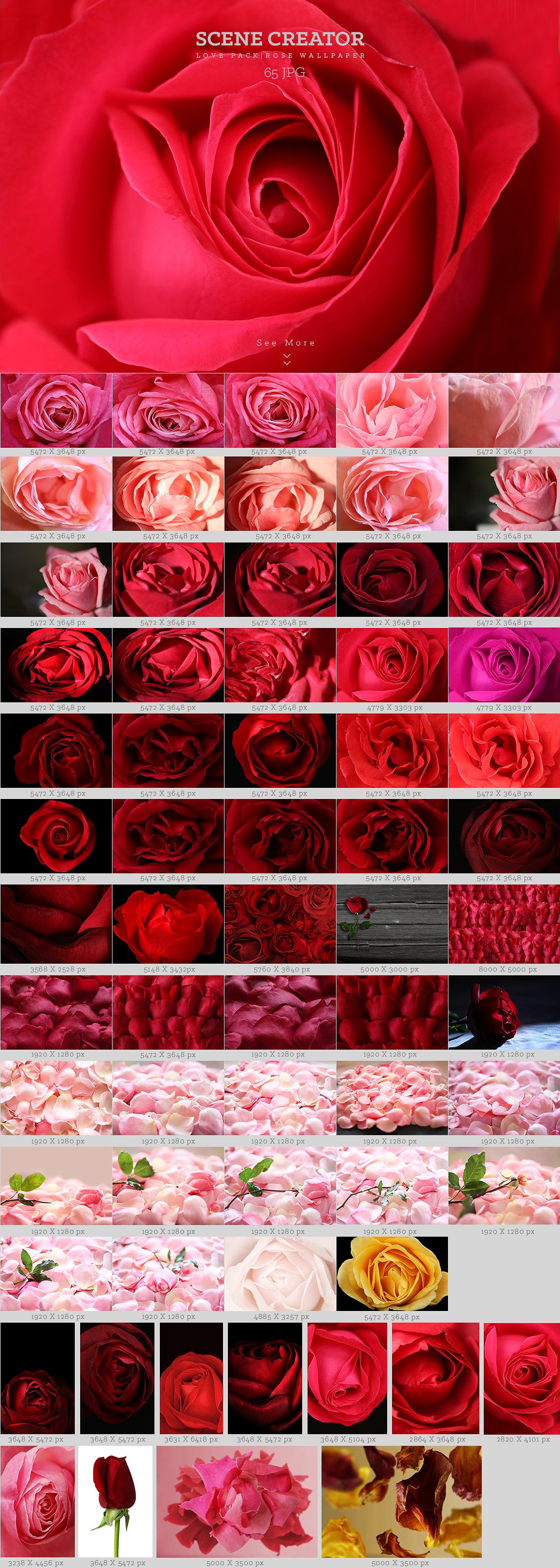 浪漫爱情(情人节)玫瑰花素材大合集1.6G[psd,eps,png]插图(9)